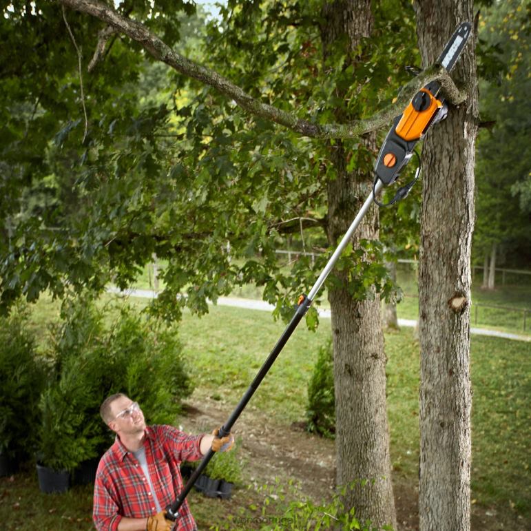 ferramentas de jardim Serra elétrica de 8 ampères de 10'' WORX 66DHN85